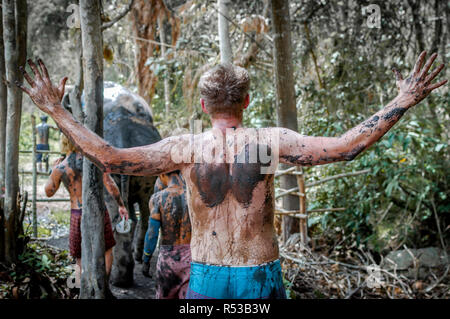 Étranger fut extraordinaire le bain des éléphants à Chiang Mai, Thaïlande Asie en montrant son 'Mud d'honneur' sur son corps. Banque D'Images