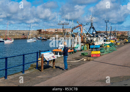 Dunbar port, bateaux, East Lothian, Scotland, UK. Banque D'Images