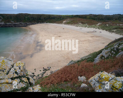 Barafundle Bay, Pembrokshire, Pays de Galles Banque D'Images