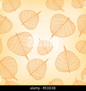 Feuilles d'oranger,motif transparent Banque D'Images