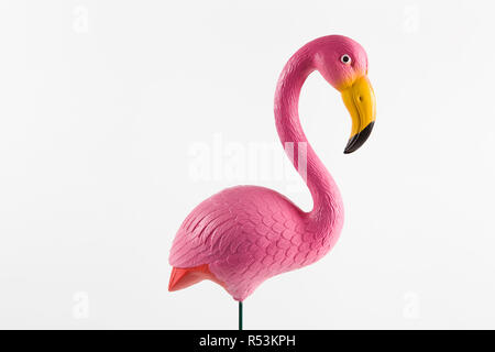 Flamant rose sur fond rose Banque D'Images