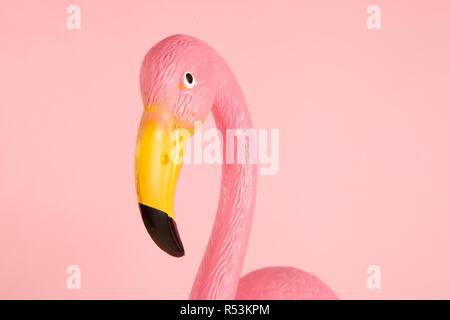 Flamant rose sur fond rose Banque D'Images