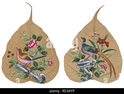 Vintage oiseaux chinois oriental illustration Banque D'Images