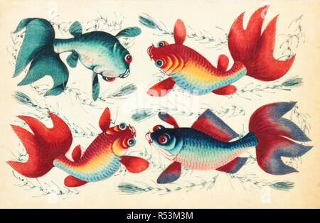 Illustration de poisson chinois Banque D'Images