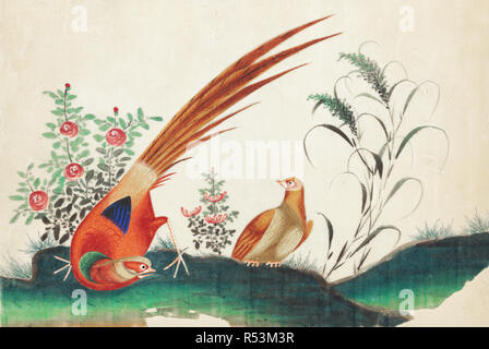 Vintage oiseaux chinois oriental illustration Banque D'Images