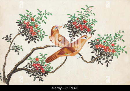 Vintage oiseaux chinois oriental illustration Banque D'Images