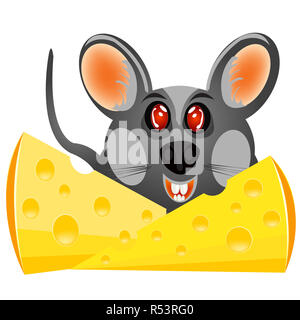 Bébé souris avec du fromage Banque D'Images