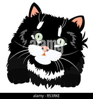 Belle kitty noir sur blanc Banque D'Images