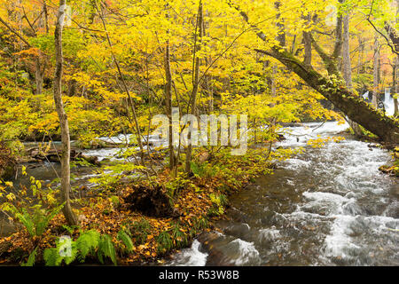 Oirase Ruisseau de montagne au Japon Banque D'Images