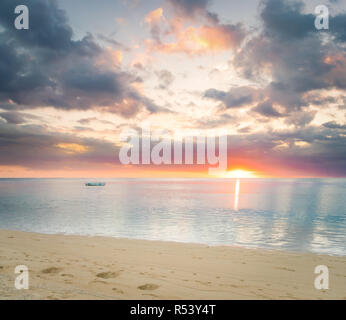 Sandy tropical beach. Banque D'Images