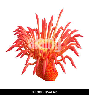 Le rendu 3D d'une anémone de mer rouge isolé sur fond blanc Banque D'Images