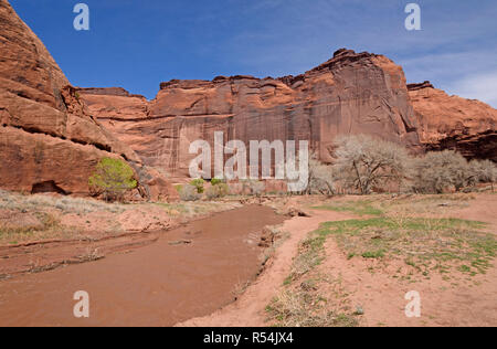 Muddy River in a Red Rock Canyon Banque D'Images