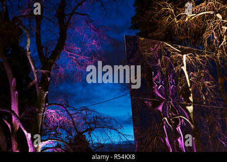 Au cours du mois de décembre les arbres recevoir des ornements lumineux créés par des artistes à Genève / Suisse Banque D'Images