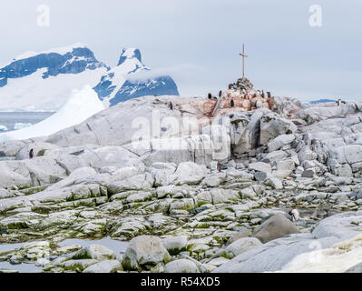 Manchots autour de la commémoration de la British Antarctic Survey, l'Île Petermann, Péninsule Antarctique, l'Antarctique Banque D'Images