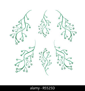 Floral aquarelle objets définir. Branches d'hiver isolé sur fond blanc. Les plantes à la main art clip Banque D'Images