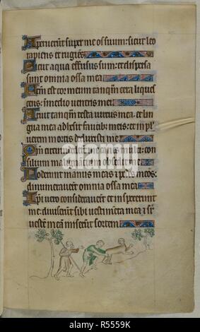 Bas-de-page scène de deux chasseurs essayant d'attraper un singe. Psautier ('Le psautier de la Reine Mary"). Angleterre (Londres/Westminster ou East Anglia ?) ; entre 1310 et 1320. Source : Royal 2 B. VII, f.107. Langue : Français de l'Amérique latine, avec les légendes des images. Banque D'Images