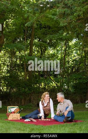 Couple having a picnic Banque D'Images