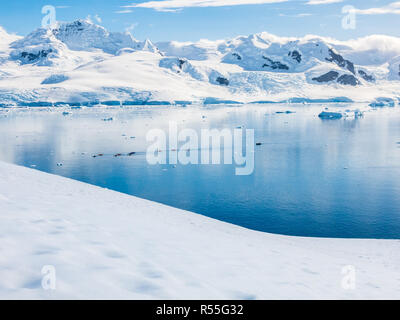 Vue de Neko Harbour à Andvord Bay avec des personnes kayak, Arctowski, Péninsule Antarctique continentale Banque D'Images