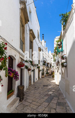 Une rue de Locorotondo avec maisons typiques blanchies à la chaux et de fleurs suspendues, Pouilles, Italie Banque D'Images