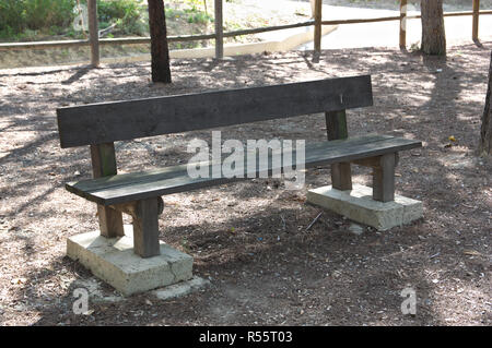 Close-up d'une assise en bois naturel dans un environnement calme, entouré par la nature Banque D'Images