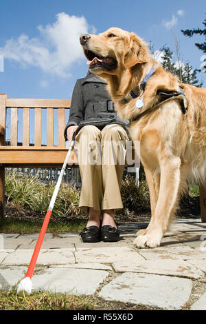 Femme aveugle et un chien-guide Banque D'Images