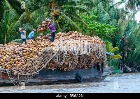 Trois ouvriers masculins charger un bateau traditionnel en bois avec des cocotiers le long de la rive bordée d'sur la rivière Cai Rang, Province de Can Tho, Vietnam du Sud Banque D'Images