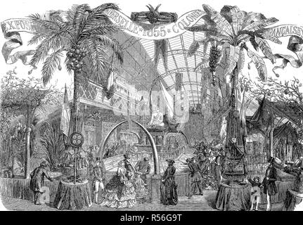 L'occasion de l'exposition internationale 1855, Paris, exposition des colonies françaises, woodcut, France Banque D'Images