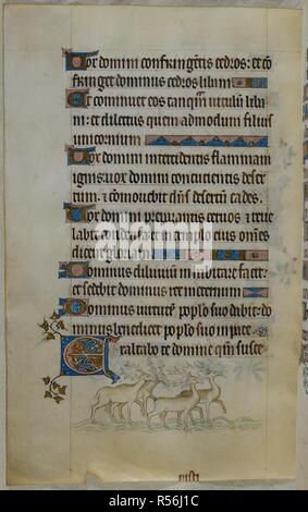 Bas-de-page scène de quatre cerfs debout dans l'eau. Psautier ('Le psautier de la Reine Mary"). Angleterre (Londres/Westminster ou East Anglia ?) ; entre 1310 et 1320. Source : Royal 2 B. VII, f.115 v. Langue : Français de l'Amérique latine, avec les légendes des images. Banque D'Images