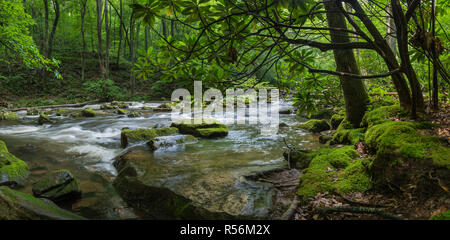 Rapides sur peu de Stony Creek, près de Pembroke, en Virginie, le long de la chaîne des Cascades le sentier récréatif national. Banque D'Images