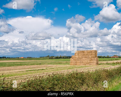 Balles de foin empilées sur les terres agricoles au près de polder sur Oudeschild Texel Île Frise occidentale, Pays-Bas Banque D'Images