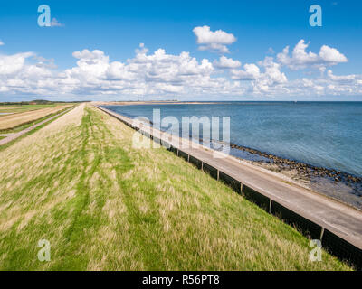 Dyke avec la protection de l'herbe sur l'île de Frise occidentale polders contre mer des Wadden Texel, Pays-Bas Banque D'Images