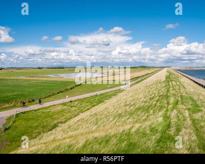 Les gens à bicyclette Équitation sur petite route entre zones humides et avec des polders digue sur l'île de Frise occidentale Texel, Pays-Bas Banque D'Images