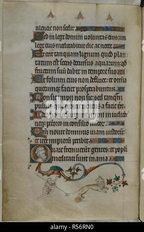Initiale historiée 'Q' d'un homme barbu. Un bas-de-page lieux d'un Hunter, soufflant une corne et portant une lance, à courir après un lion bondissant. Psautier ('Le psautier de la Reine Mary"). Angleterre (Londres/Westminster ou East Anglia ?) ; entre 1310 et 1320. Source : Royal 2 B. VII, f.85v. Langue : Français de l'Amérique latine, avec les légendes des images. Banque D'Images