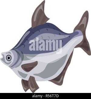 L'icône poisson crapet arlequin. Caricature de poissons crapet arlequin icône vecteur pour la conception web isolé sur fond blanc Illustration de Vecteur