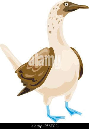 L'icône bleu pieds rouges. Caricature de bleu pieds rouges icône vecteur pour la conception web isolé sur fond blanc Illustration de Vecteur