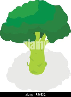 Le brocoli icon set. Ensemble d'isométrique le brocoli vector icons pour la conception web isolé sur fond blanc Illustration de Vecteur