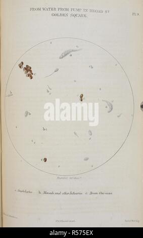 À partir de l'eau provenant de la pompe de Broad Street, Golden Square. L'annexe du rapport du Comité scientifique pour les enquêtes relatives à l'épidémie de choléra de 1854. Londres : imprimé par George E. Eyre et William Spottiswoode ... pour Her Majesty's Stationery Office, 1855. Source : RB.23.b.4684.(5) 9. Banque D'Images