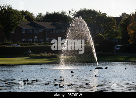 Une fontaine dans le lac en Eastrop park. Banque D'Images