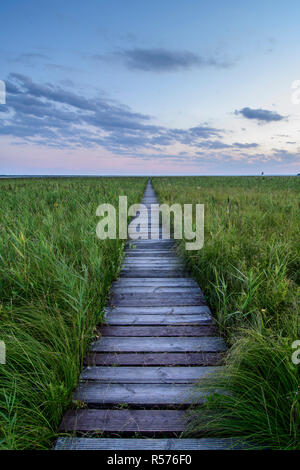 Dluga Luka passerelle dans les marais du parc national de Biebrza, Pologne Banque D'Images