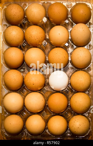 En haut Vue de l'un blanc d'oeuf dans un carton d'oeufs brun sur un dessus de table Banque D'Images