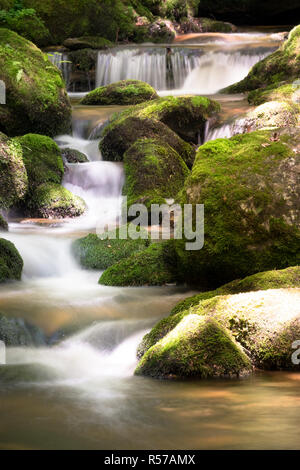 Ruisseau de montagne avec cascade Banque D'Images