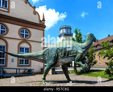 Musée d'histoire naturelle à Kassel Banque D'Images