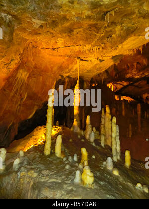 Postojna, Slovénie - 9 mai 2014 : caractéristiques karstiques pittoresques allumé dans la grotte, grotte de Postojna Banque D'Images