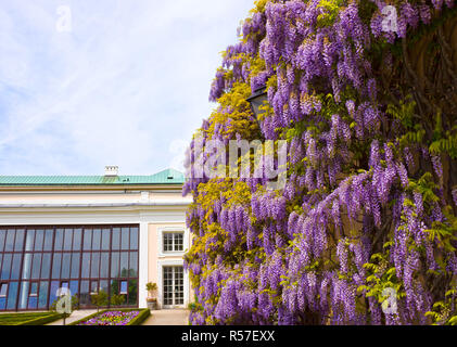 Salzbourg, Autriche - Mai 01, 2017 : une partie de la magnifique jardins Mirabell à Salzbourg Banque D'Images