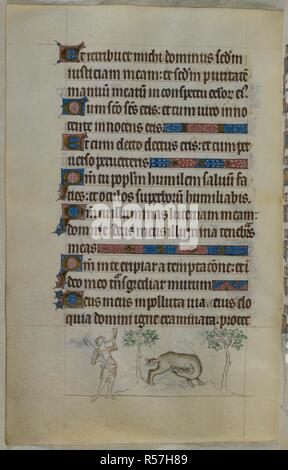 Bas-de-page lieux d'un castor, poursuivi par un chasseur avec une corne et une hache, coupant ses testicules pour dissuader le chasseur. (Les testicules de castors auraient des propriétés médicinales, et selon la légende d'un castor, lorsque pris en chasse, les détacher). Psautier ('Le psautier de la Reine Mary"). Angleterre (Londres/Westminster ou East Anglia ?) ; entre 1310 et 1320. Source : Royal 2 B. VII, f.101v. Langue : Français de l'Amérique latine, avec les légendes des images. Banque D'Images