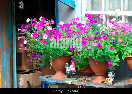 Banc avec fleurs luxuriantes pétunia et deux nains de jardin à venir Banque D'Images