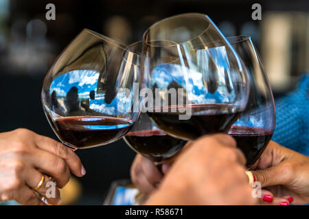 Celebrating Christmas with jours au cours d'une journée de célébration à ses vacances pendant l'heure du déjeuner dans un vignoble à Casablanca, Chili Banque D'Images