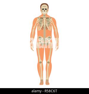 Avec squelette corps icône. Squelette humain Silhouette latérale avant. Isolé sur fond blanc. Vector illustration. Illustration de Vecteur