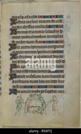 Bas-de-page de scène deux musiciens lulling un aspis de dormir avec la musique, tandis que deux autres voler de baume de l'arbre qui la gardait aspis. Psautier ('Le psautier de la Reine Mary"). Angleterre (Londres/Westminster ou East Anglia ?) ; entre 1310 et 1320. Source : Royal 2 B. VII, f.126. Langue : Français de l'Amérique latine, avec les légendes des images. Banque D'Images