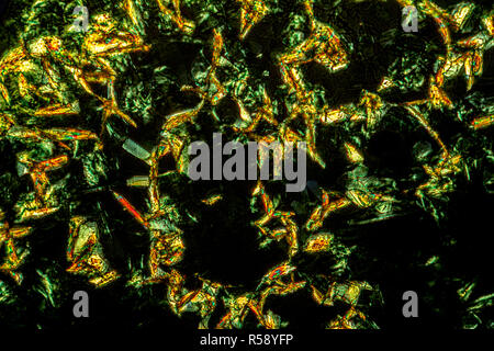 Détail microscopique des microcristaux auramine o Banque D'Images